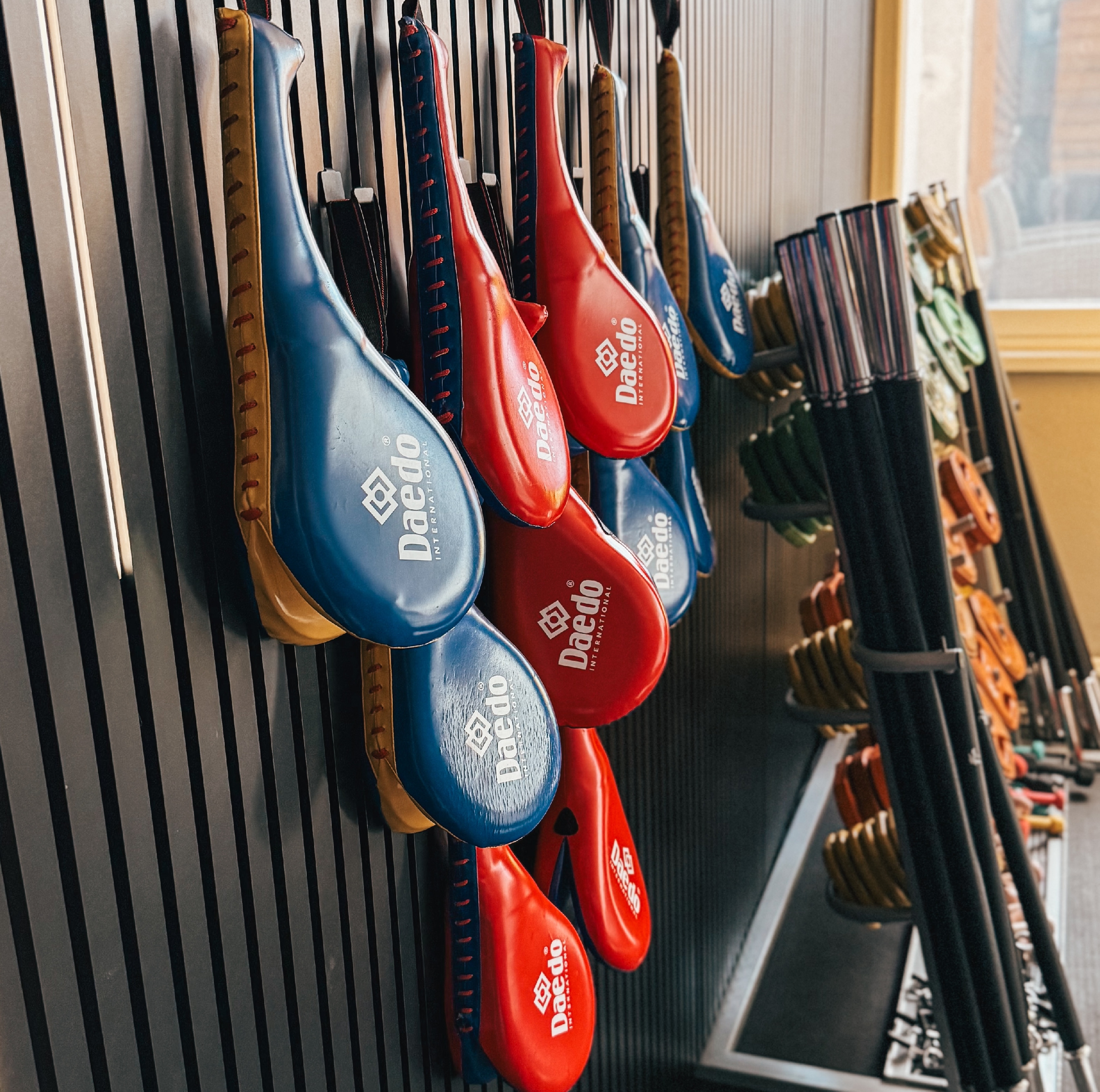 Obnova vybavení sálu na bojové sporty - tatami