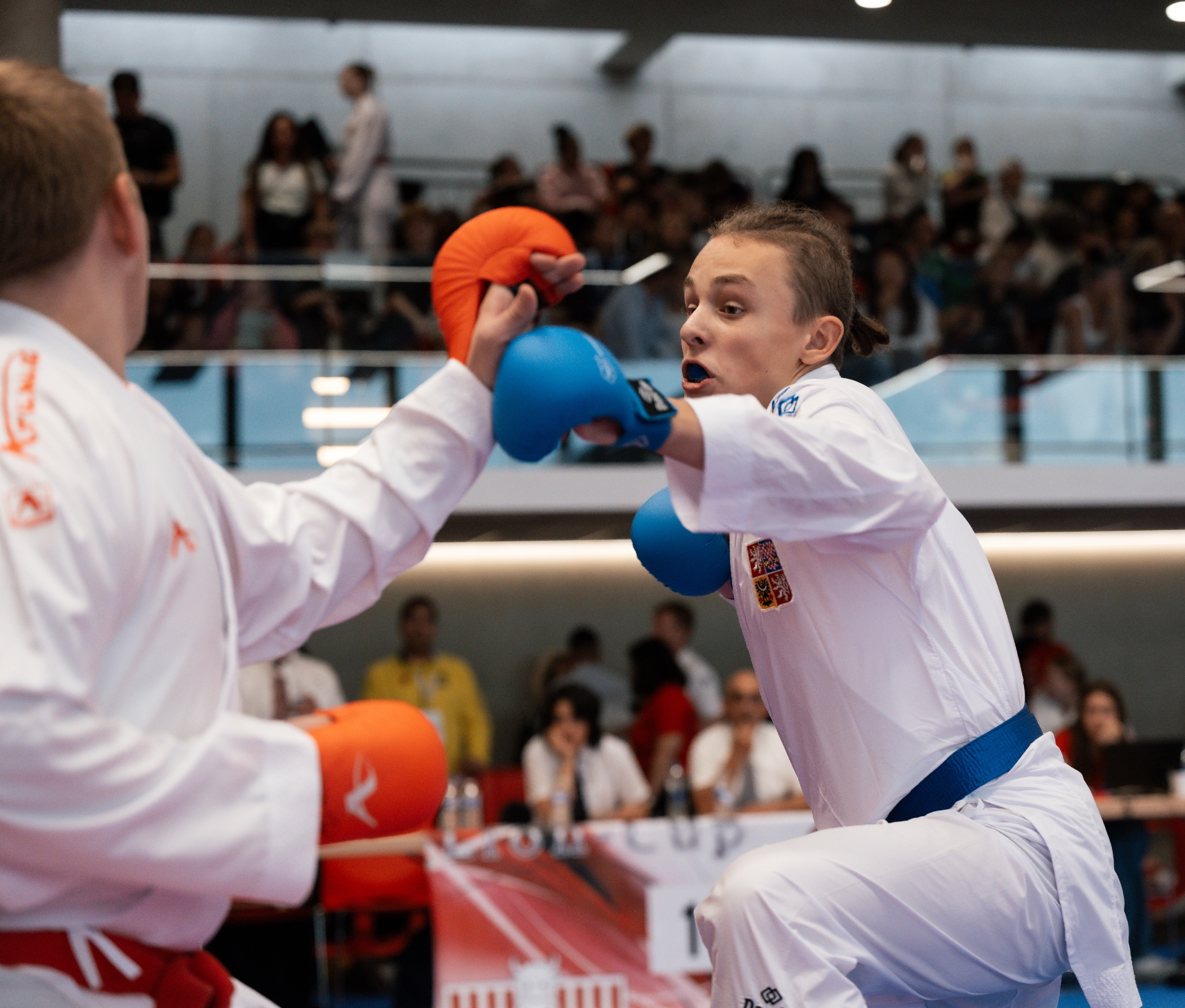 Lions cup Luxemburg 2025