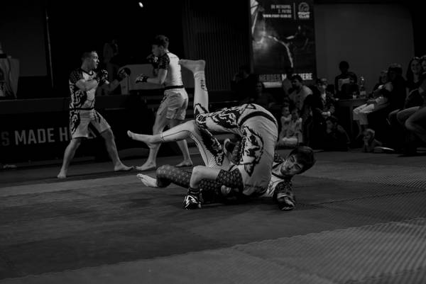 DSC_0331.jpg