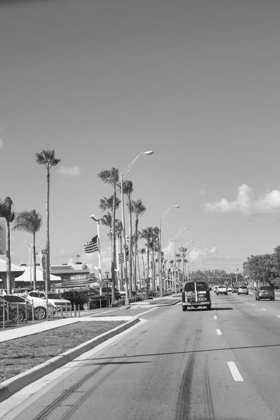 DSC_1860.jpg