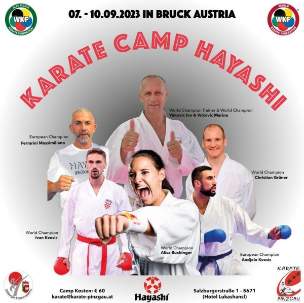 Hayashi karate camp