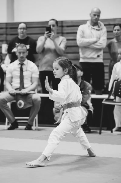 DSC_9125-1.jpg