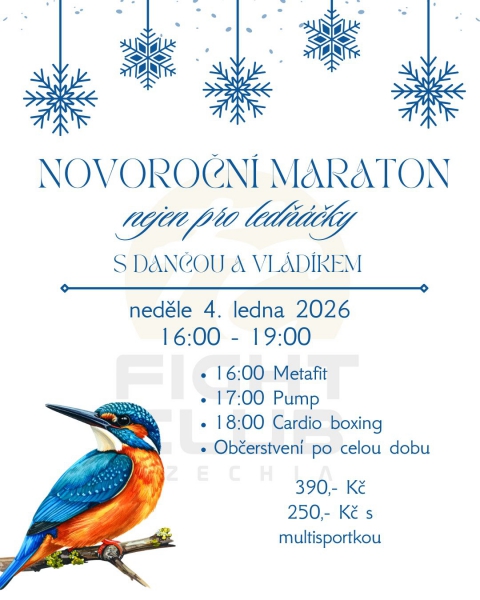 Novoroční maraton
