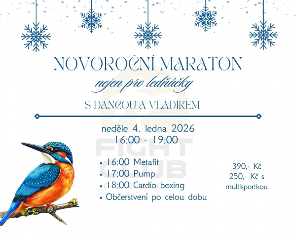 Novoroční maraton nejen pro ledňáčky