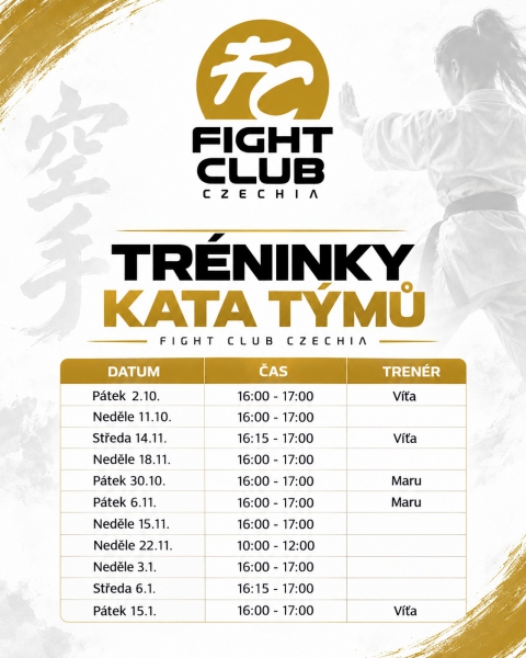 Trénink Kata týmy
