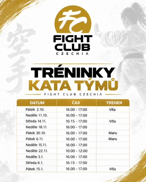 Trénink Kata týmy